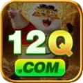 12q Live Plus v4.5.3