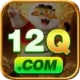 12q Live Plus v4.5.3